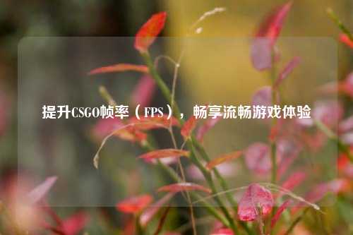 提升CSGO帧率(FPS),畅享流畅游戏体验