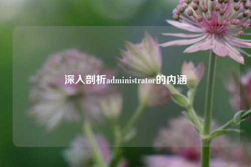 深入剖析administrator的内涵