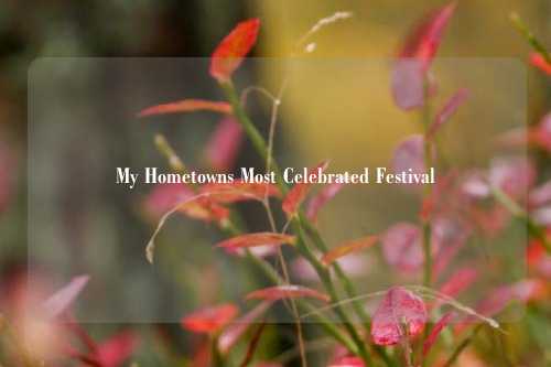 My Hometowns Most Celebrated Festival
