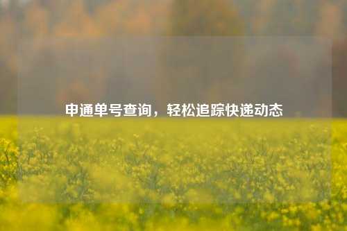 申通单号查询,轻松追踪快递动态