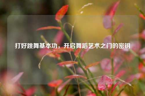 打好跳舞基本功,开启舞蹈艺术之门的密钥