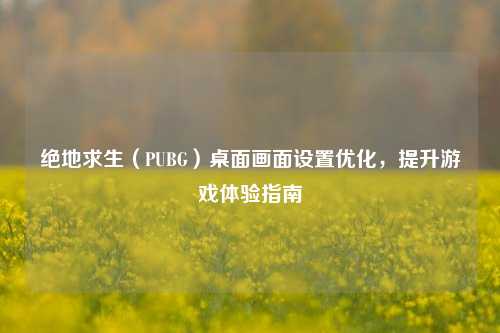 绝地求生（PUBG）桌面画面设置优化，提升游戏体验指南