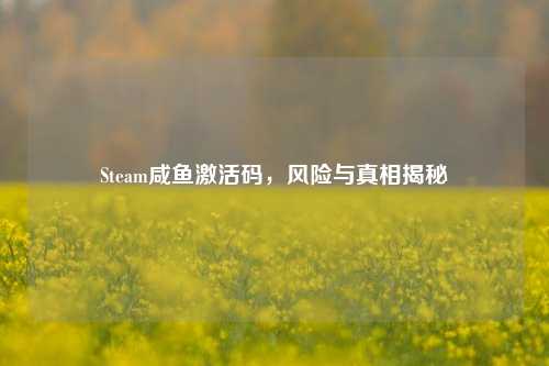 Steam咸鱼激活码，风险与真相揭秘