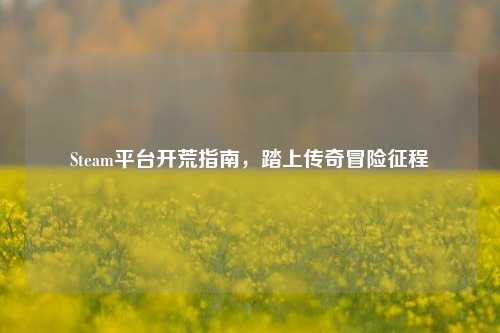 Steam平台开荒指南,踏上传奇冒险征程
