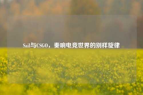 Sail与CSGO，奏响电竞世界的别样旋律