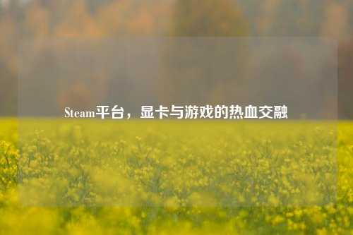 Steam平台，显卡与游戏的热血交融