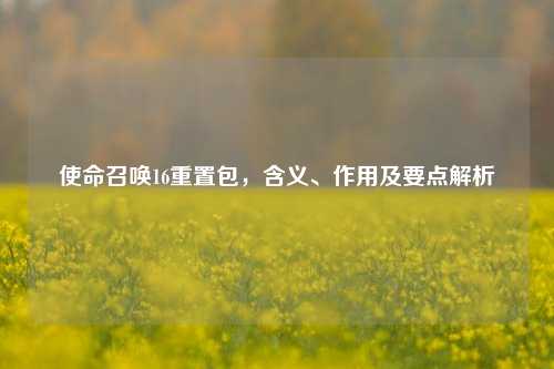 使命召唤16重置包，含义、作用及要点解析