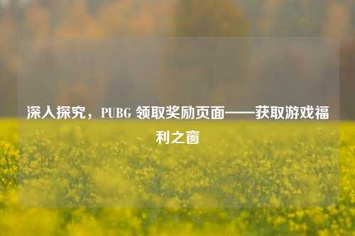 深入探究，PUBG 领取奖励页面——获取游戏福利之窗