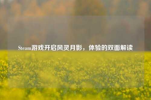 Steam游戏开启风灵月影，体验的双面解读