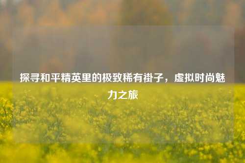 探寻和平精英里的极致稀有褂子，虚拟时尚魅力之旅