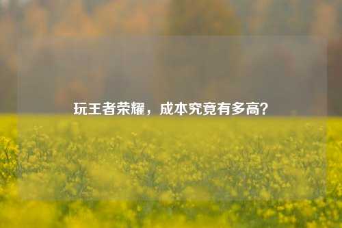 玩王者荣耀，成本究竟有多高？