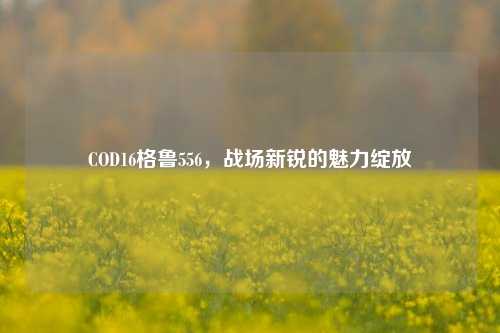 COD16格鲁556，战场新锐的魅力绽放
