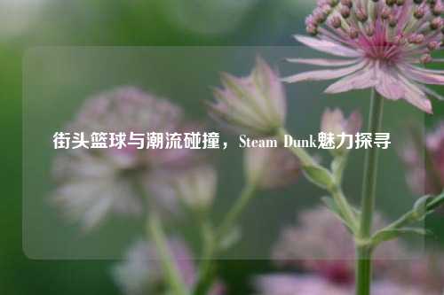 街头篮球与潮流碰撞，Steam Dunk魅力探寻