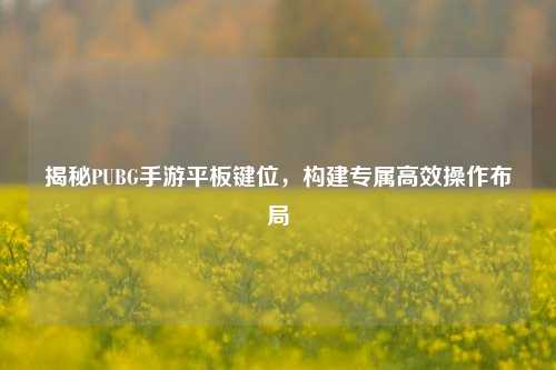 揭秘PUBG手游平板键位，构建专属高效操作布局