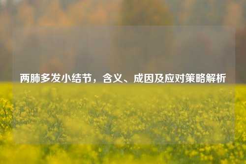两肺多发小结节，含义、成因及应对策略解析