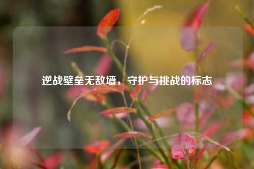逆战壁垒无敌墙，守护与挑战的标志