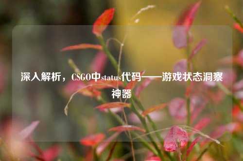 深入解析，CSGO中status代码——游戏状态洞察神器