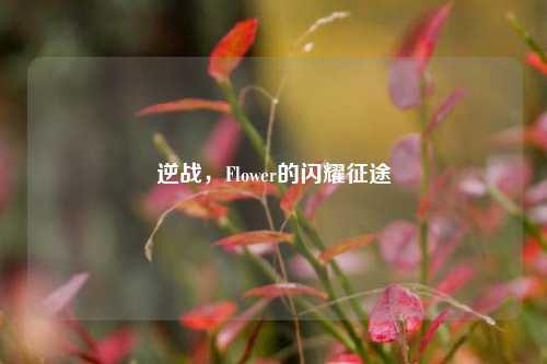 逆战，Flower的闪耀征途