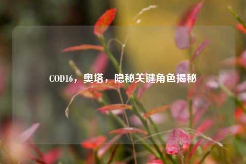 COD16，奥塔，隐秘关键角色揭秘