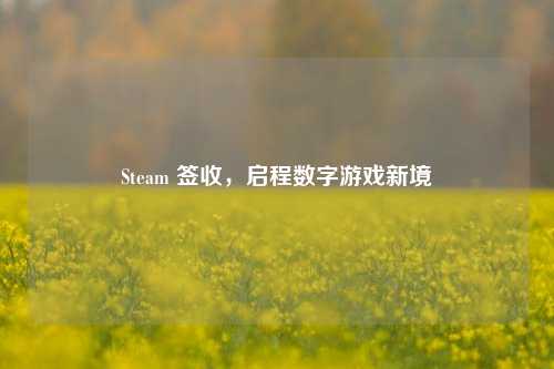 Steam 签收，启程数字游戏新境