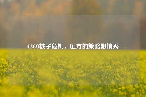 CSGO核子危机，匪方的策略 *** 秀