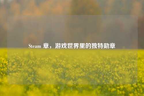 Steam 章，游戏世界里的独特勋章