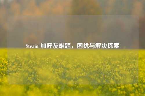 Steam 加好友难题，困扰与解决探索