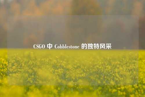 CSGO 中 Cobblestone 的独特风采