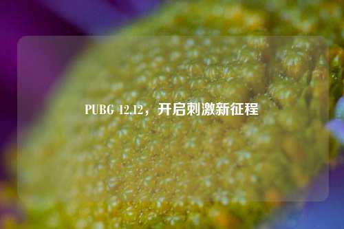 PUBG 12.12，开启 *** 新征程