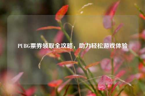 PUBG票券领取全攻略，助力轻松游戏体验