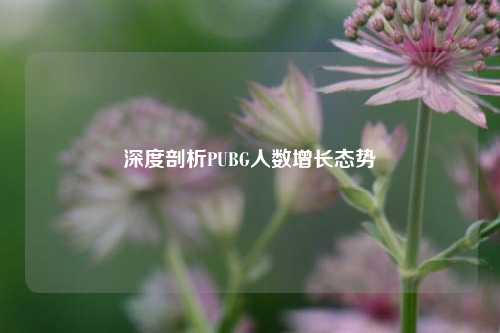深度剖析PUBG人数增长态势