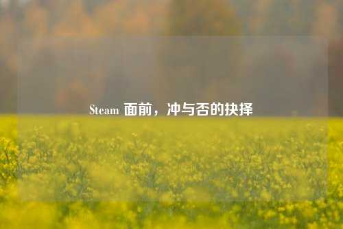 Steam 面前，冲与否的抉择