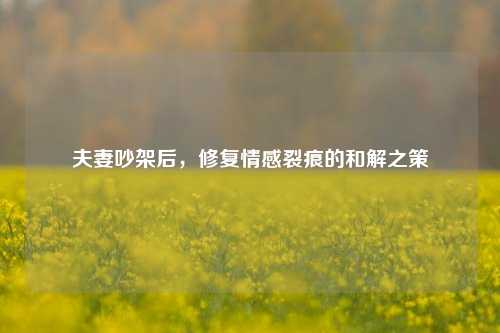 夫妻吵架后，修复情感裂痕的和解之策