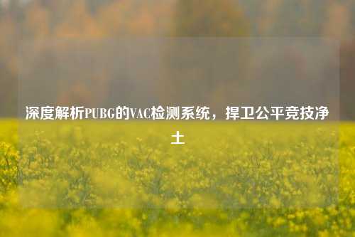 深度解析PUBG的VAC检测系统，捍卫公平竞技净土