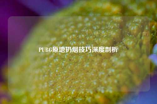 PUBG原地扔烟技巧深度剖析