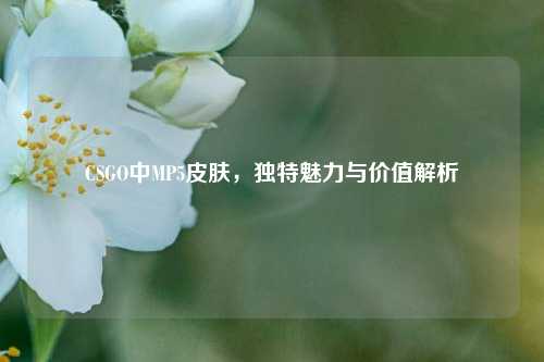 CSGO中MP5皮肤，独特魅力与价值解析