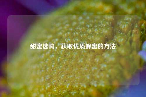 甜蜜选购，获取优质蜂蜜的 *** 