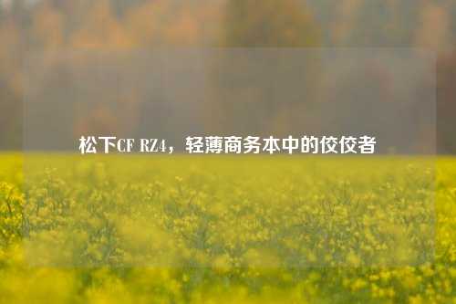 松下CF RZ4，轻薄商务本中的佼佼者