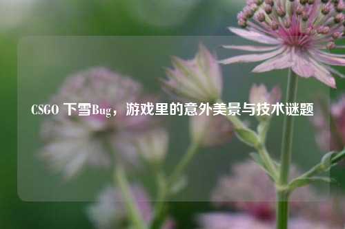 CSGO 下雪Bug，游戏里的意外美景与技术谜题
