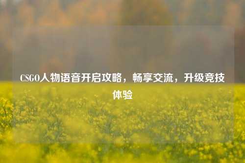 CSGO人物语音开启攻略，畅享交流，升级竞技体验