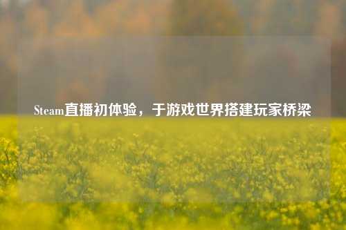 Steam直播初体验，于游戏世界搭建玩家桥梁
