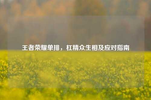 王者荣耀单排，杠精众生相及应对指南