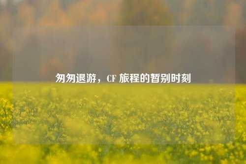 匆匆退游，CF 旅程的暂别时刻