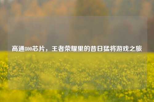 高通800芯片，王者荣耀里的昔日猛将游戏之旅