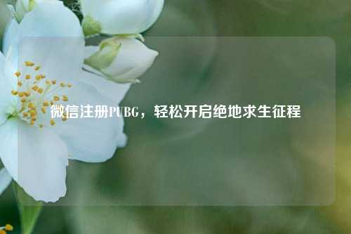 微信注册PUBG，轻松开启绝地求生征程