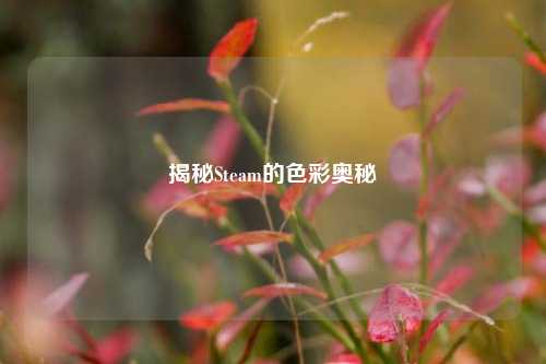 揭秘Steam的色彩奥秘