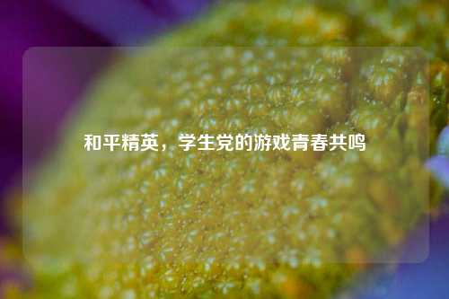 和平精英，学生党的游戏青春共鸣