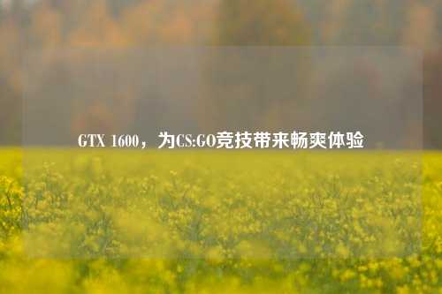 GTX 1600，为CS:GO竞技带来畅爽体验