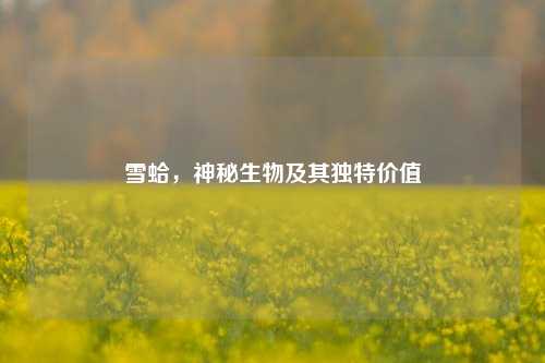 雪蛤，神秘生物及其独特价值