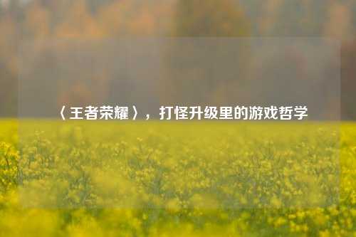 〈王者荣耀〉，打怪升级里的游戏哲学